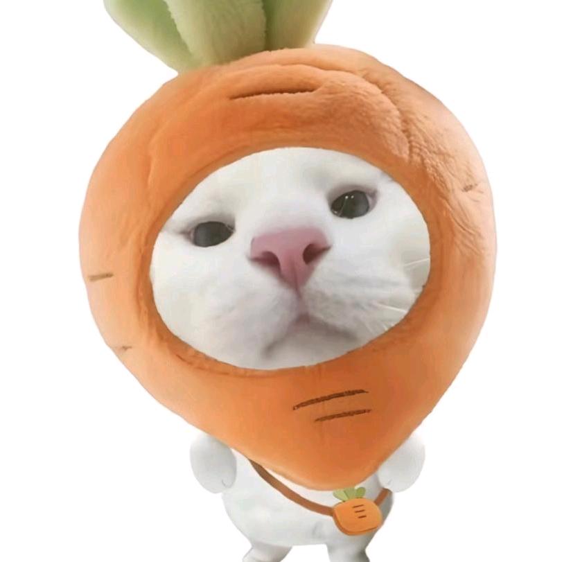 晗栈_