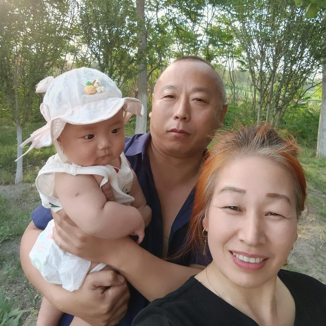 宁河琴姐拉面板面