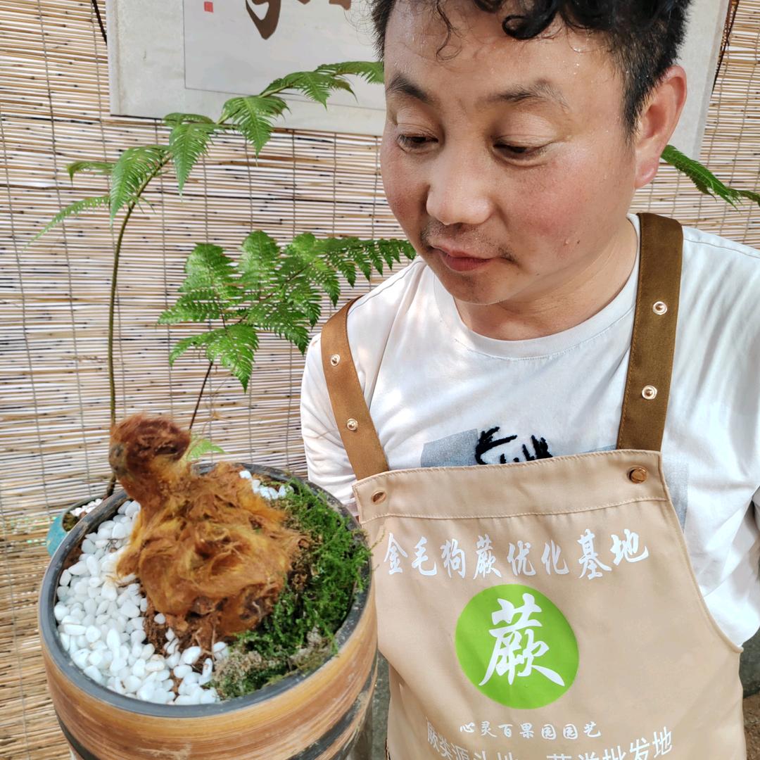 心灵百果园园艺