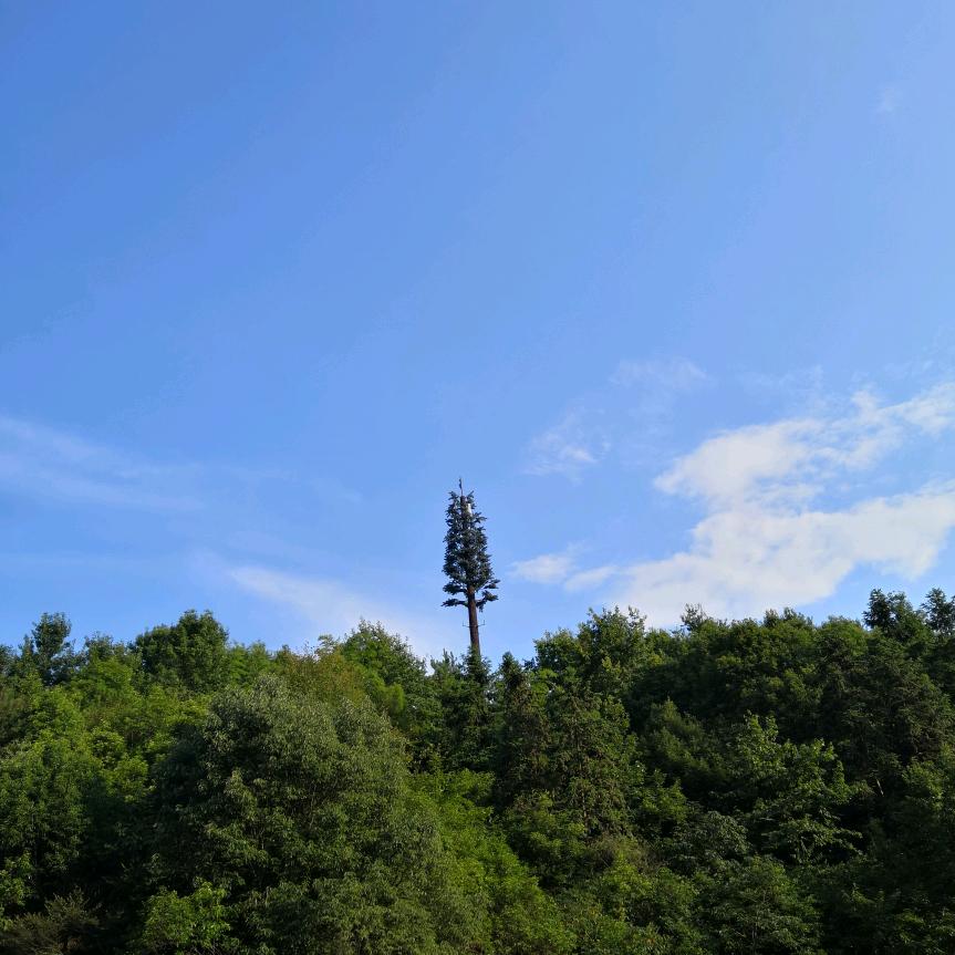 知足常乐天天开心