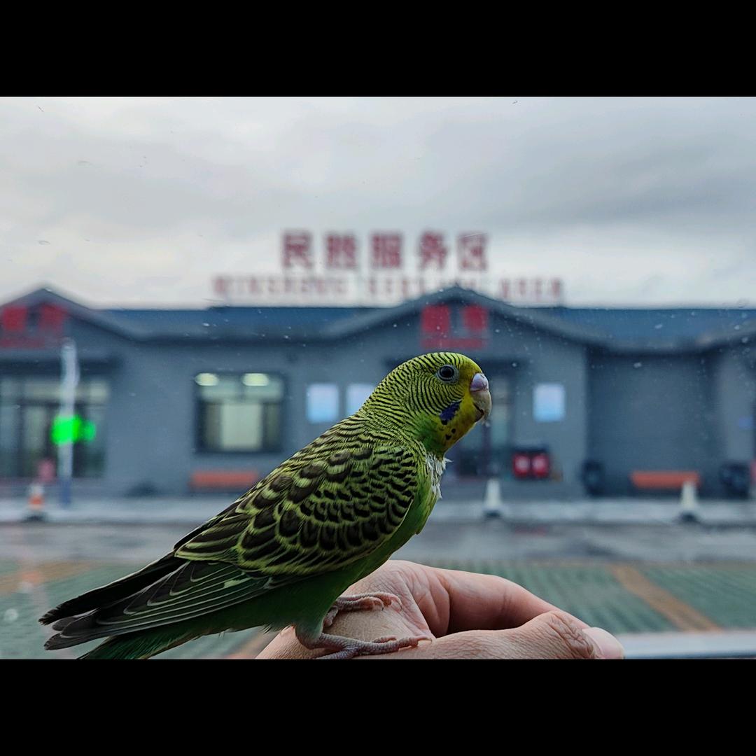 为数不多的骄傲
