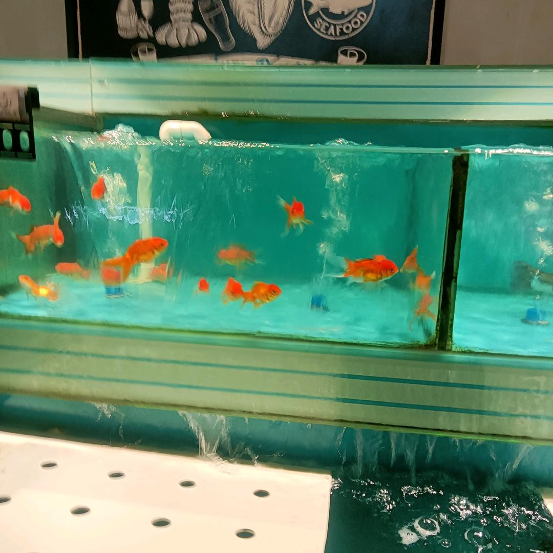 美好开心视频。