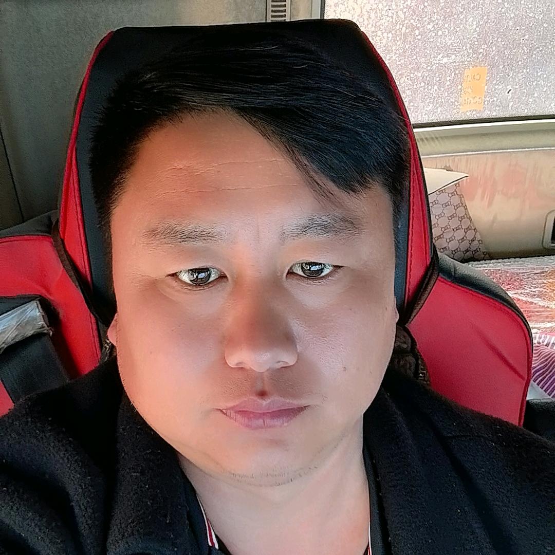 河南泰新物流集装箱专业运输