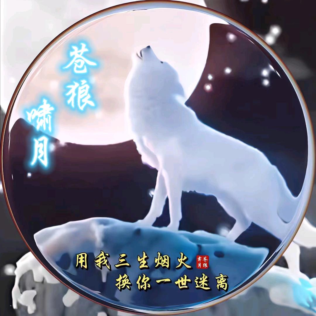 苍狼啸月
