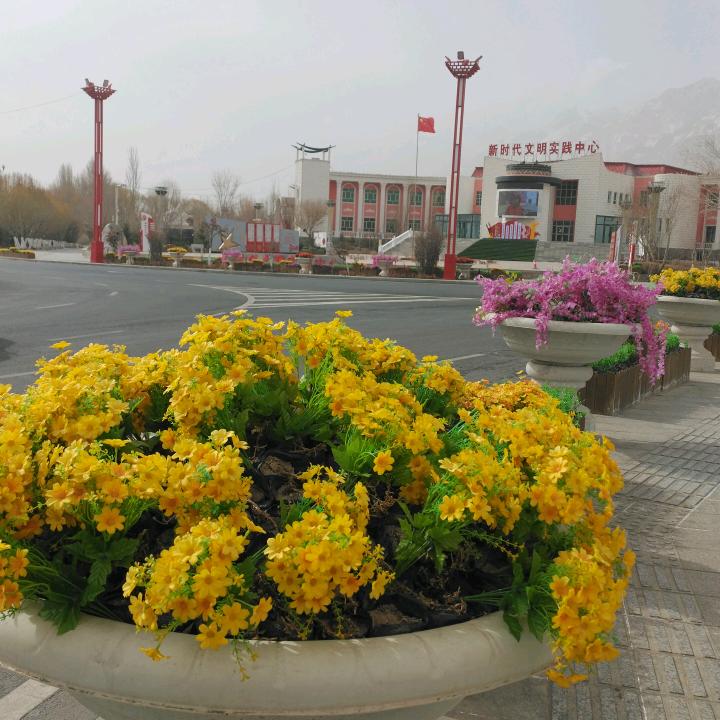 冰花