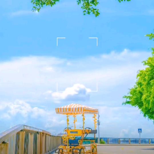 喜欢夏天