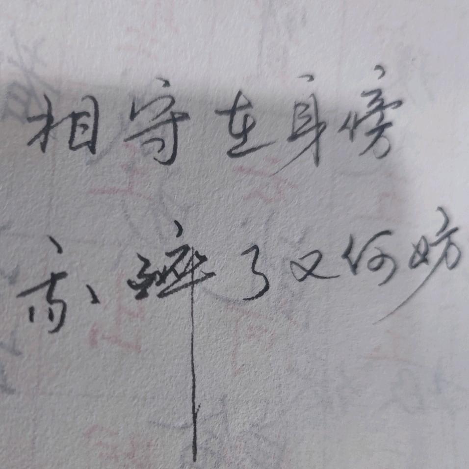 飞翔的石头