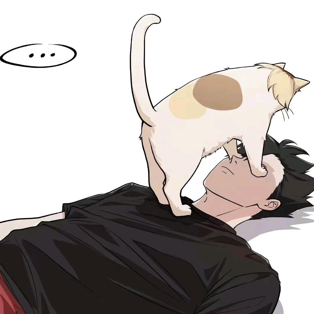 zzz123