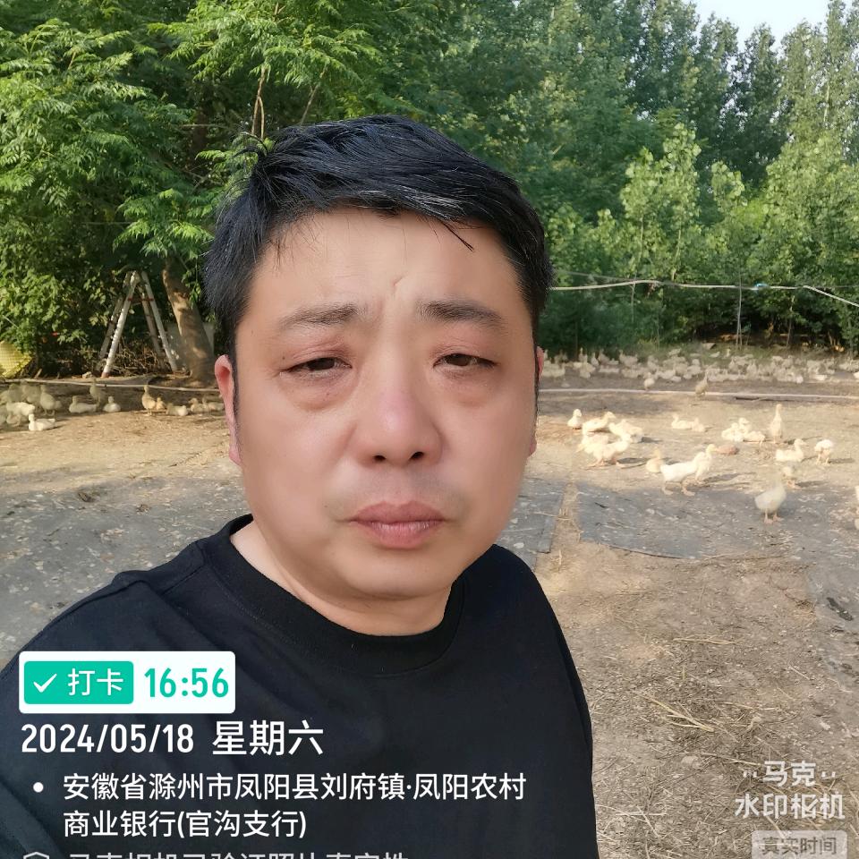华信禽业，金先生