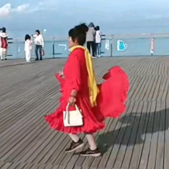 刘岁侠