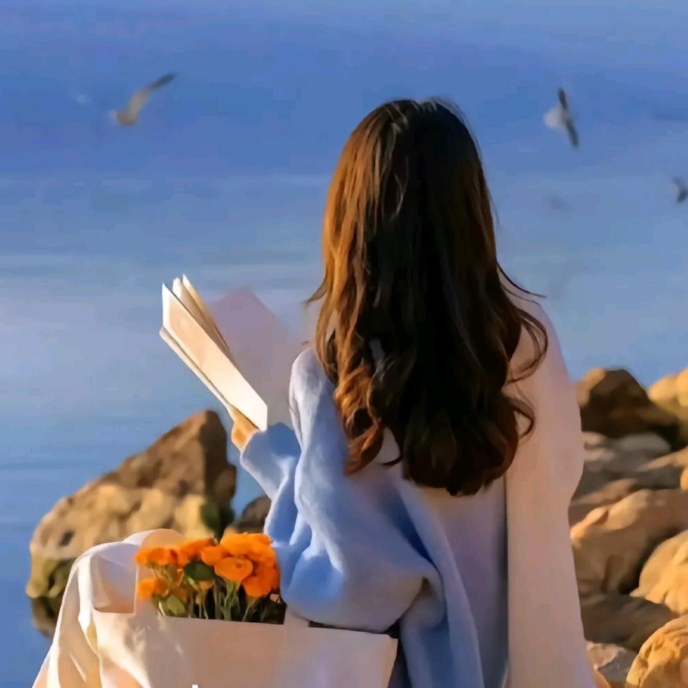 💕泽泽晴