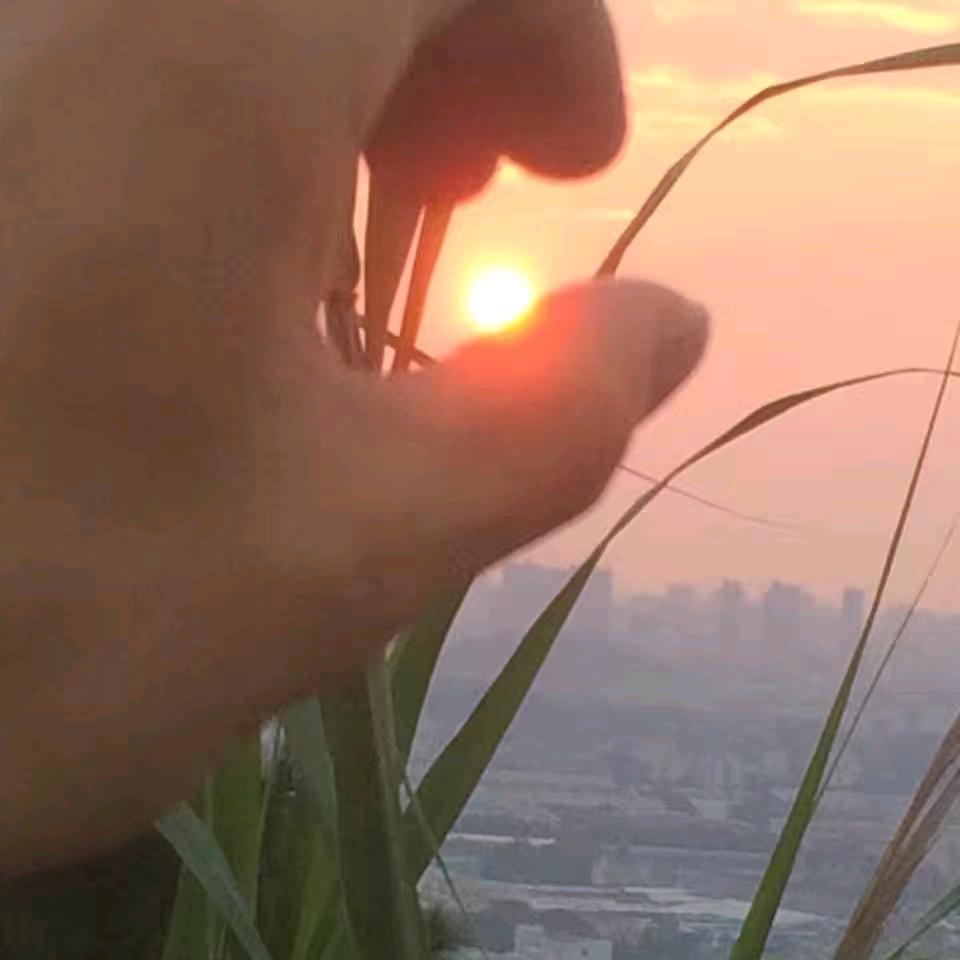 阳    仔