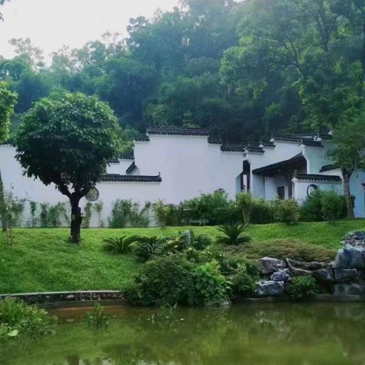 往事清零