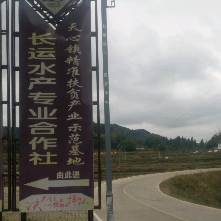 安远县天心镇长运水产养殖专业合作社