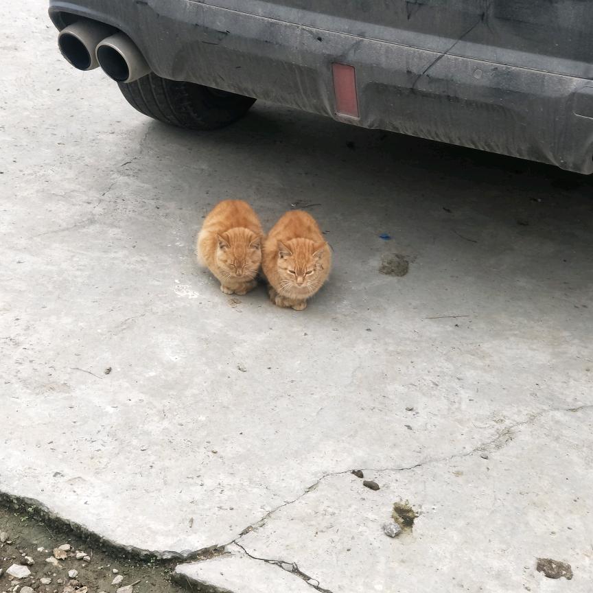 湘西男孩在内蒙古