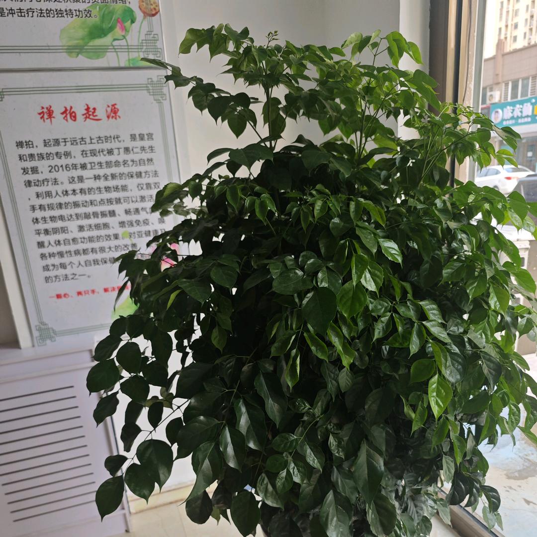 韵悦婵拍馆