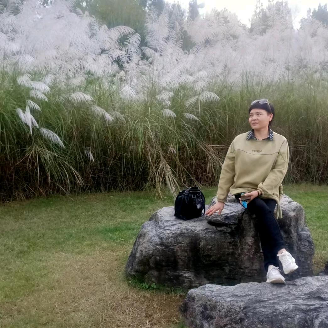 时间如歌