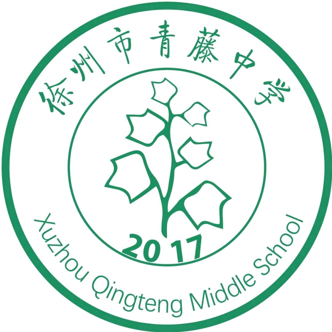 徐州市青藤中学hzj
