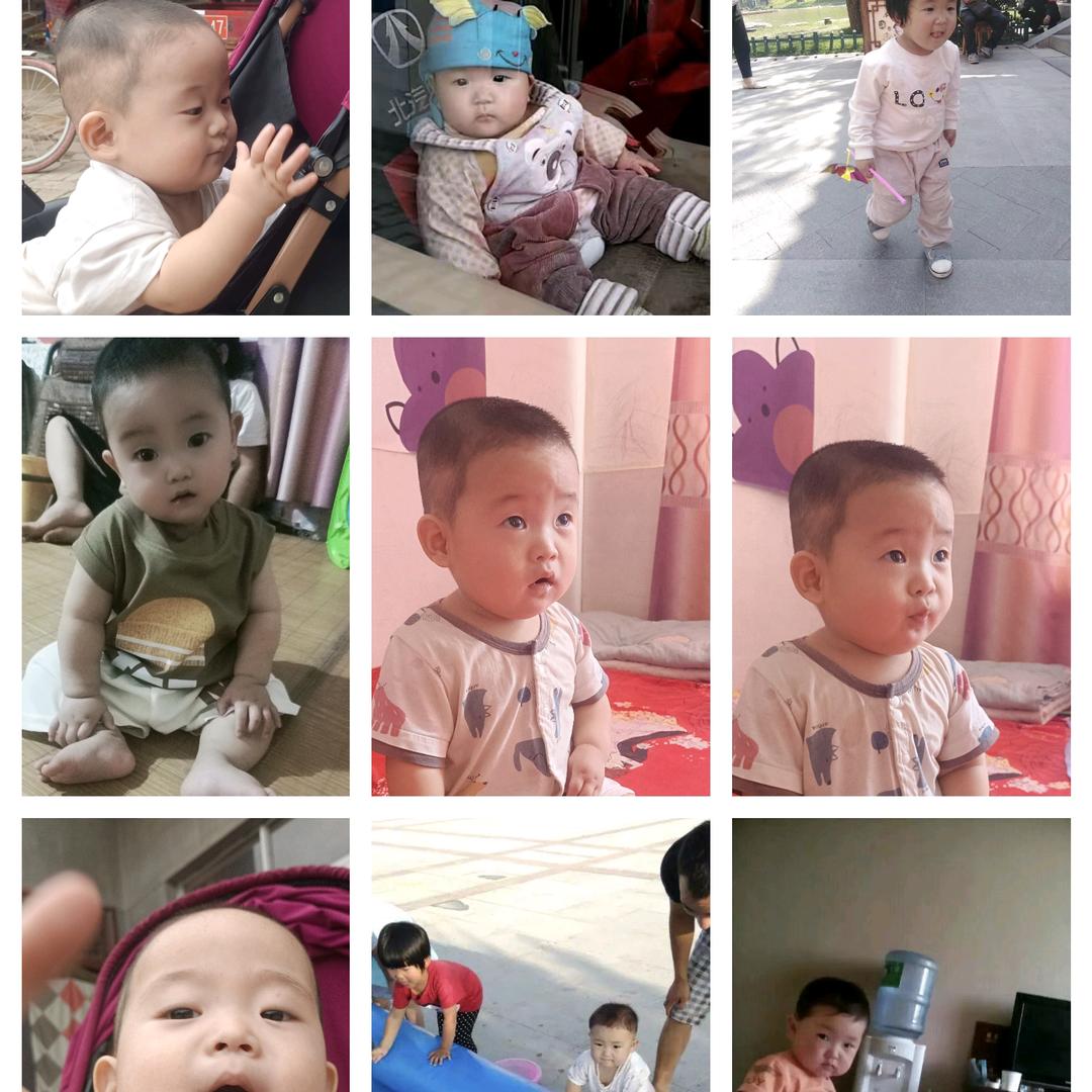 苹果之乡——洛川