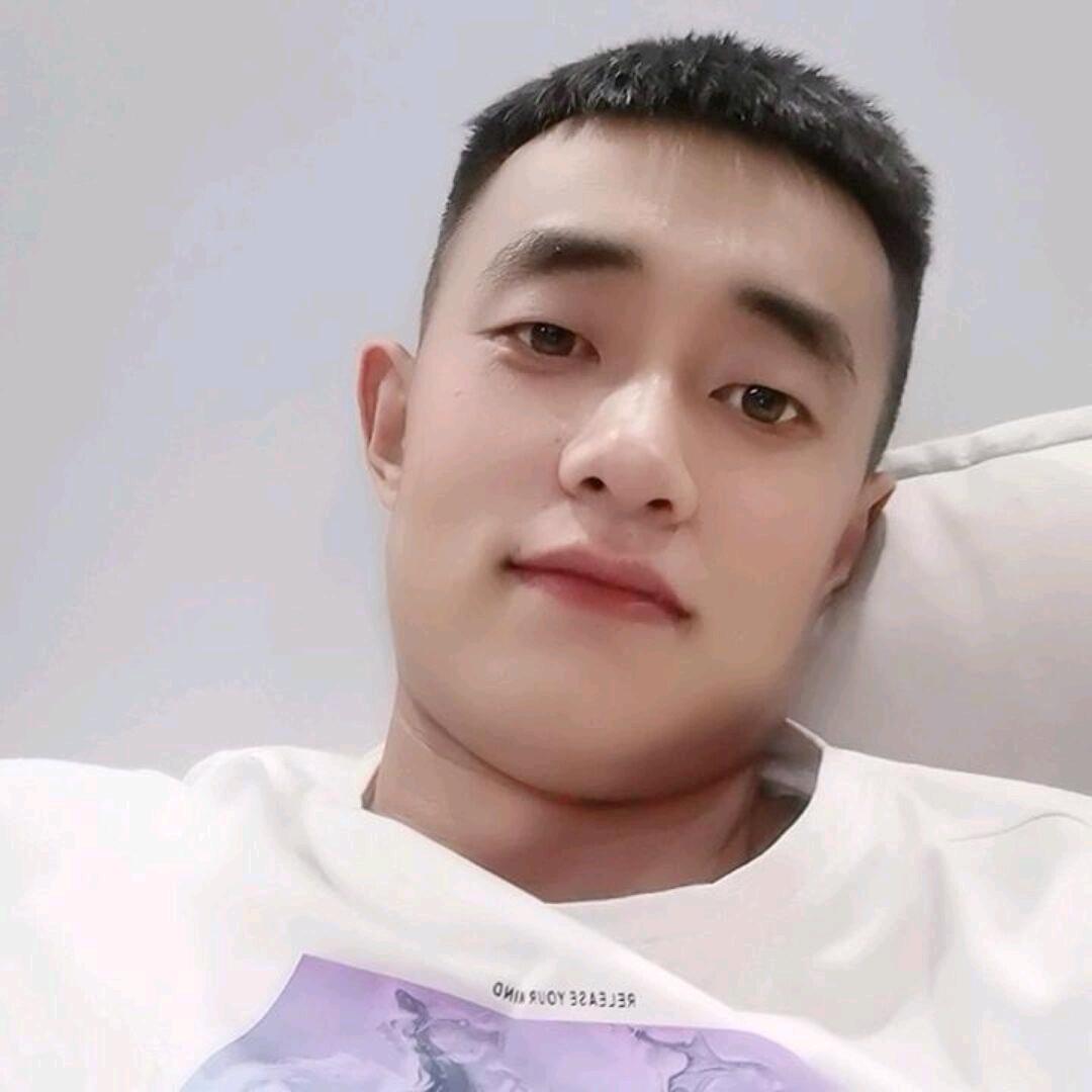 于sir