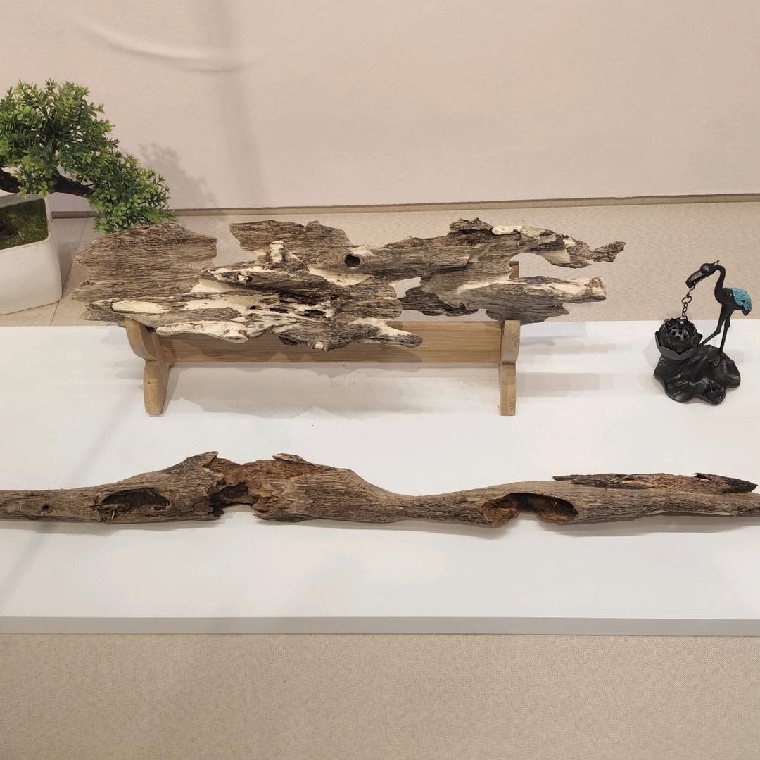 潇湘小白龙🐛