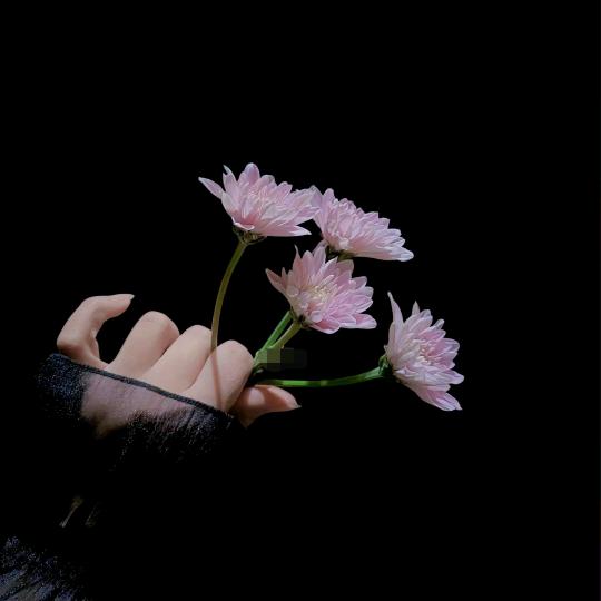 朱姐姐