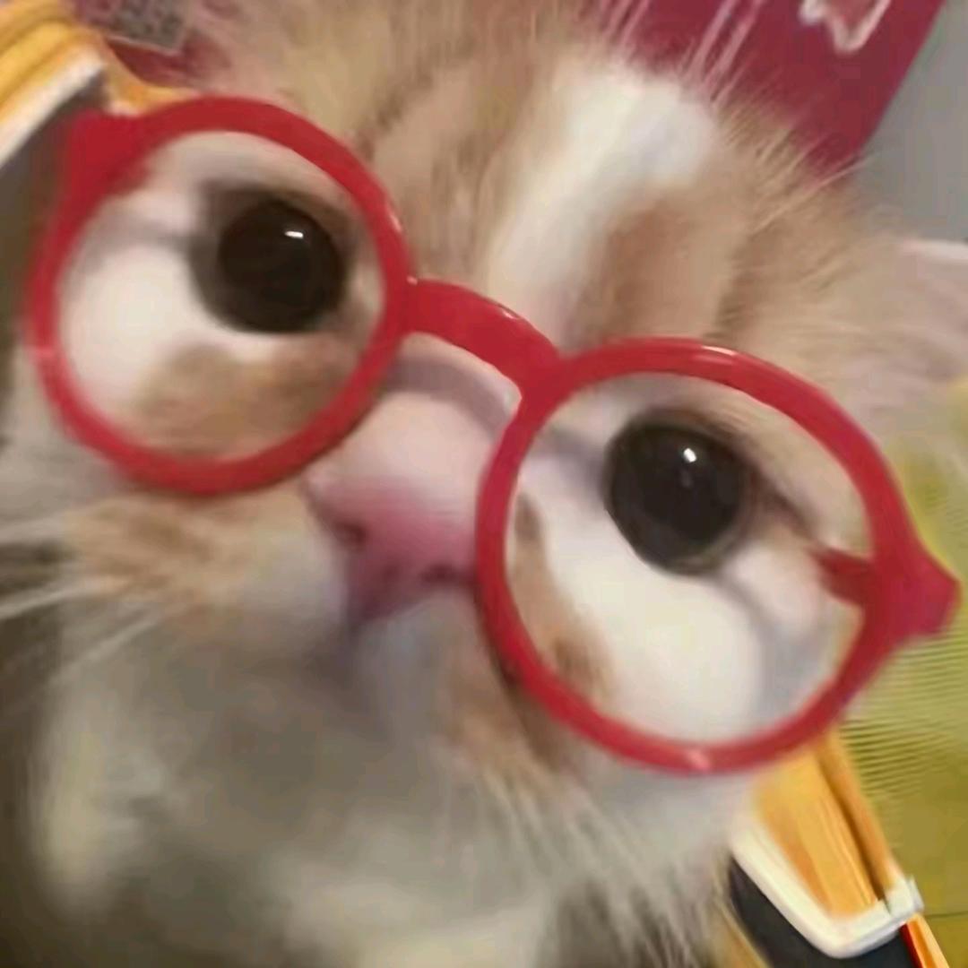 你看啥呢