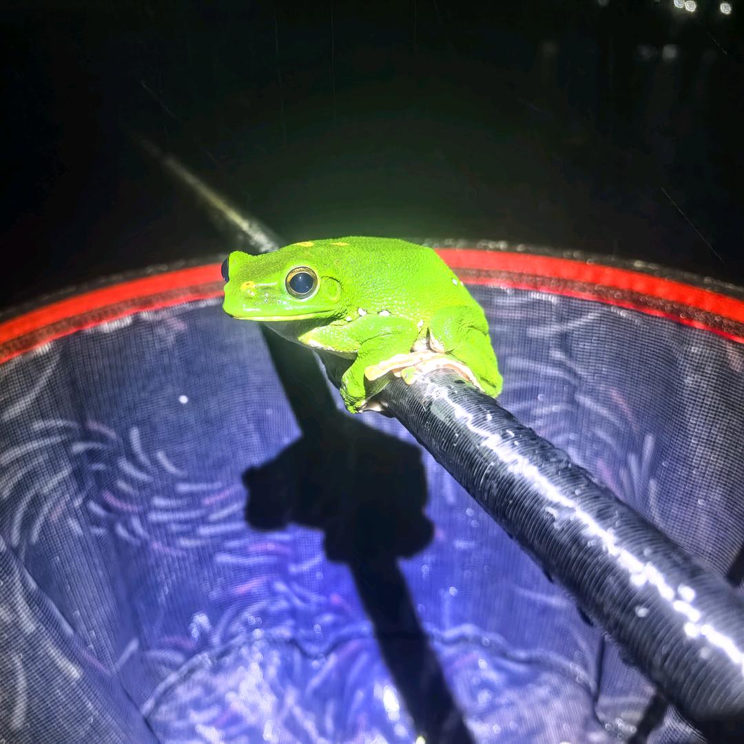 钓鱼协会阁主🎣🎣🎣