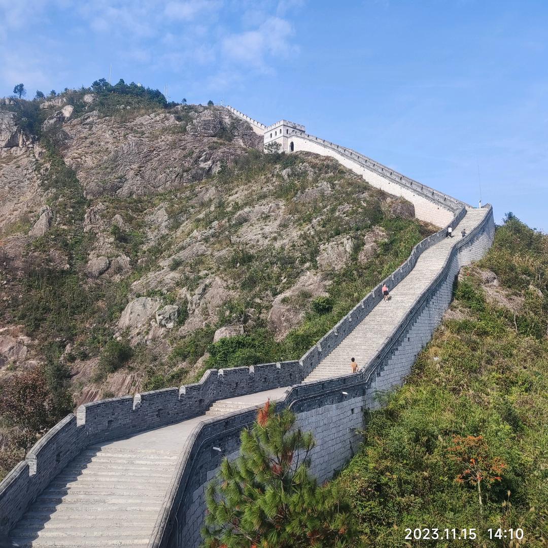 顺其  自然