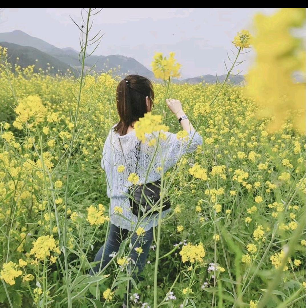 酒醉的蝴蝶
