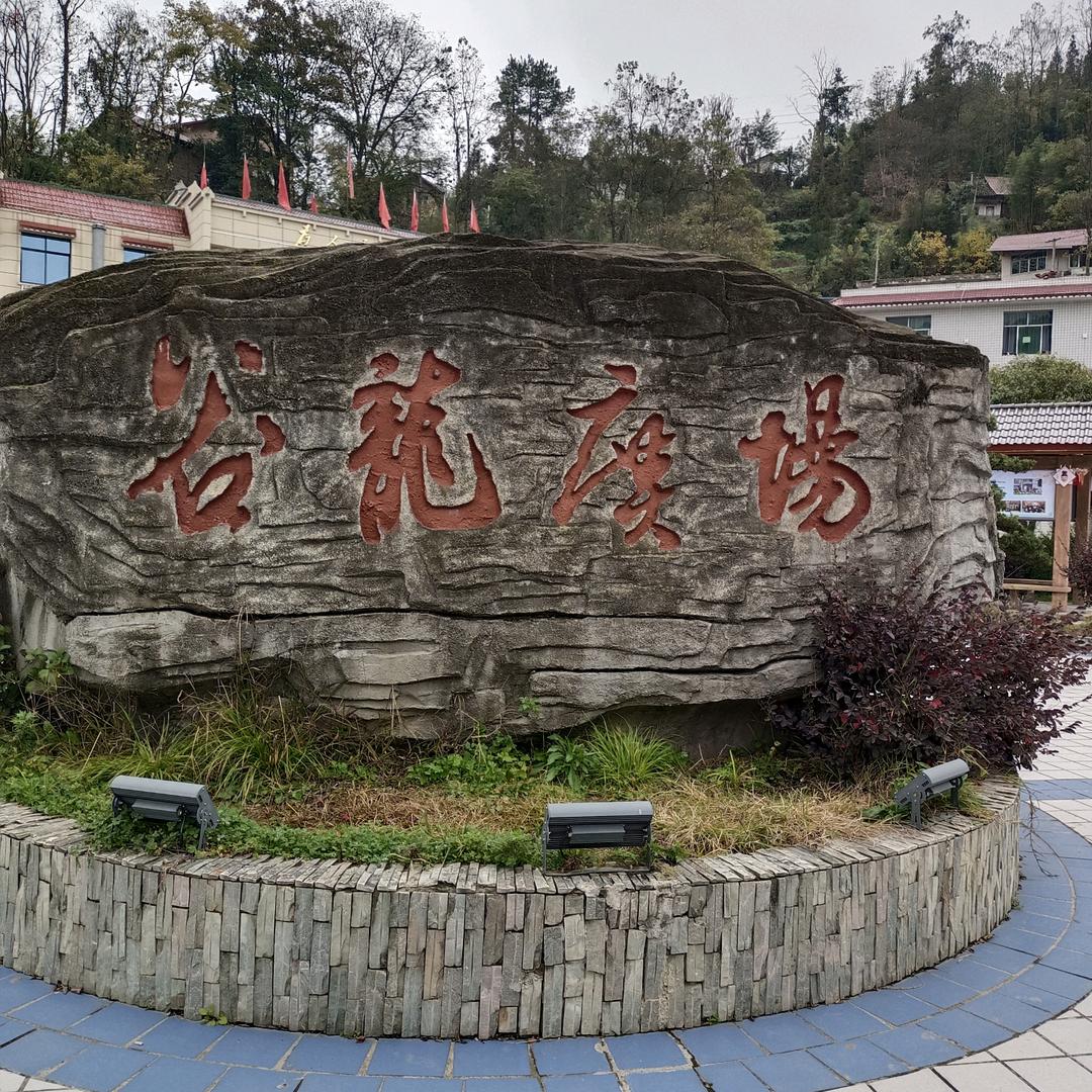 玫瑰