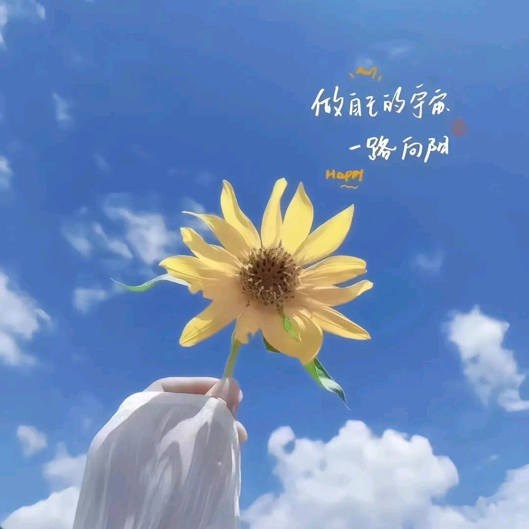 夏沫微凉