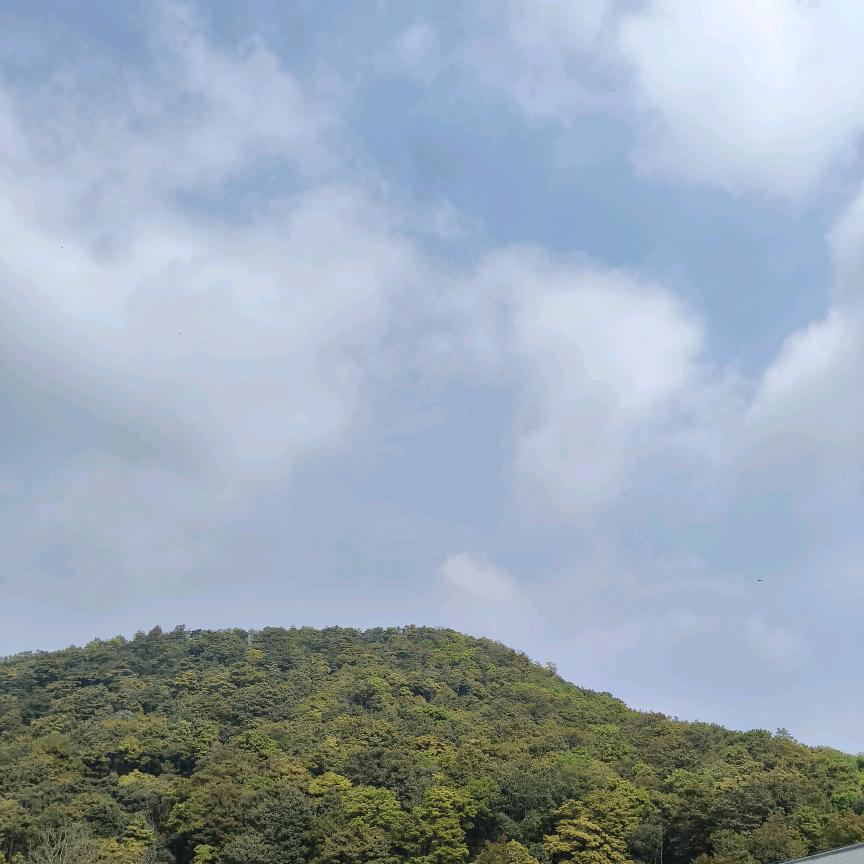 痛快放手