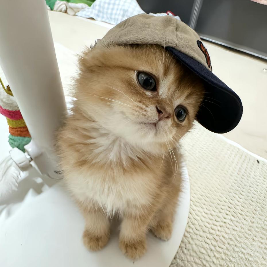 不在水里