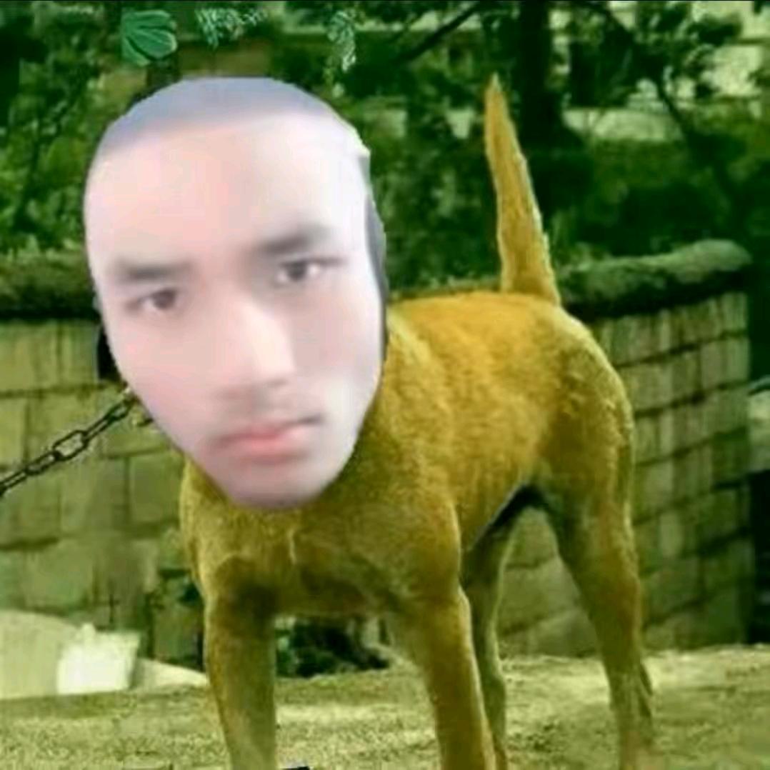 A1