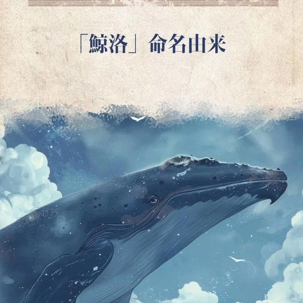 想改名不知道叫什么