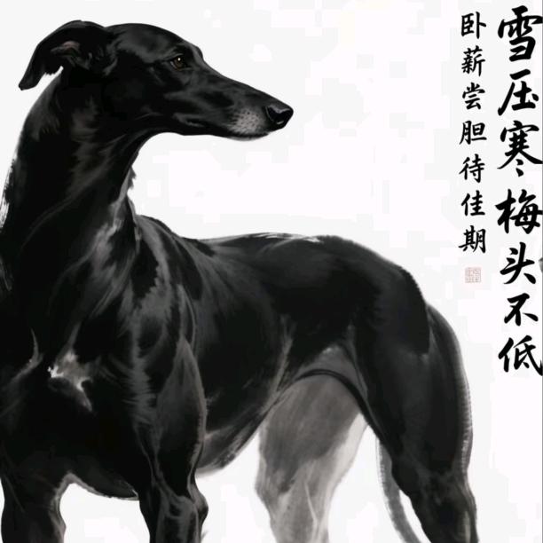不会逮遇到逮不住