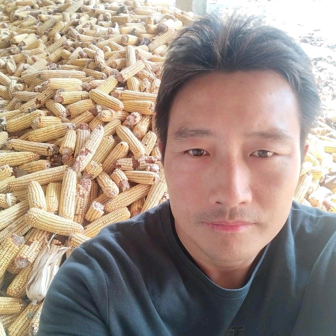 兴旺哥早06:39