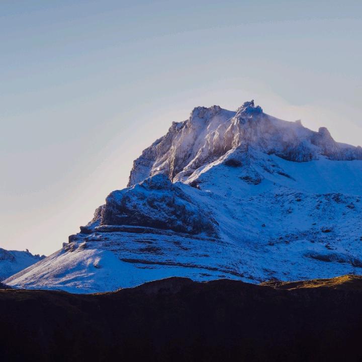 来生愿做一棵树
