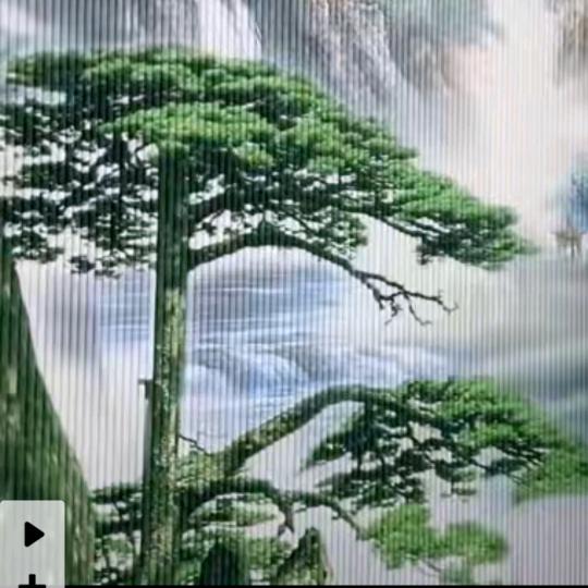 岩石上的一棵松