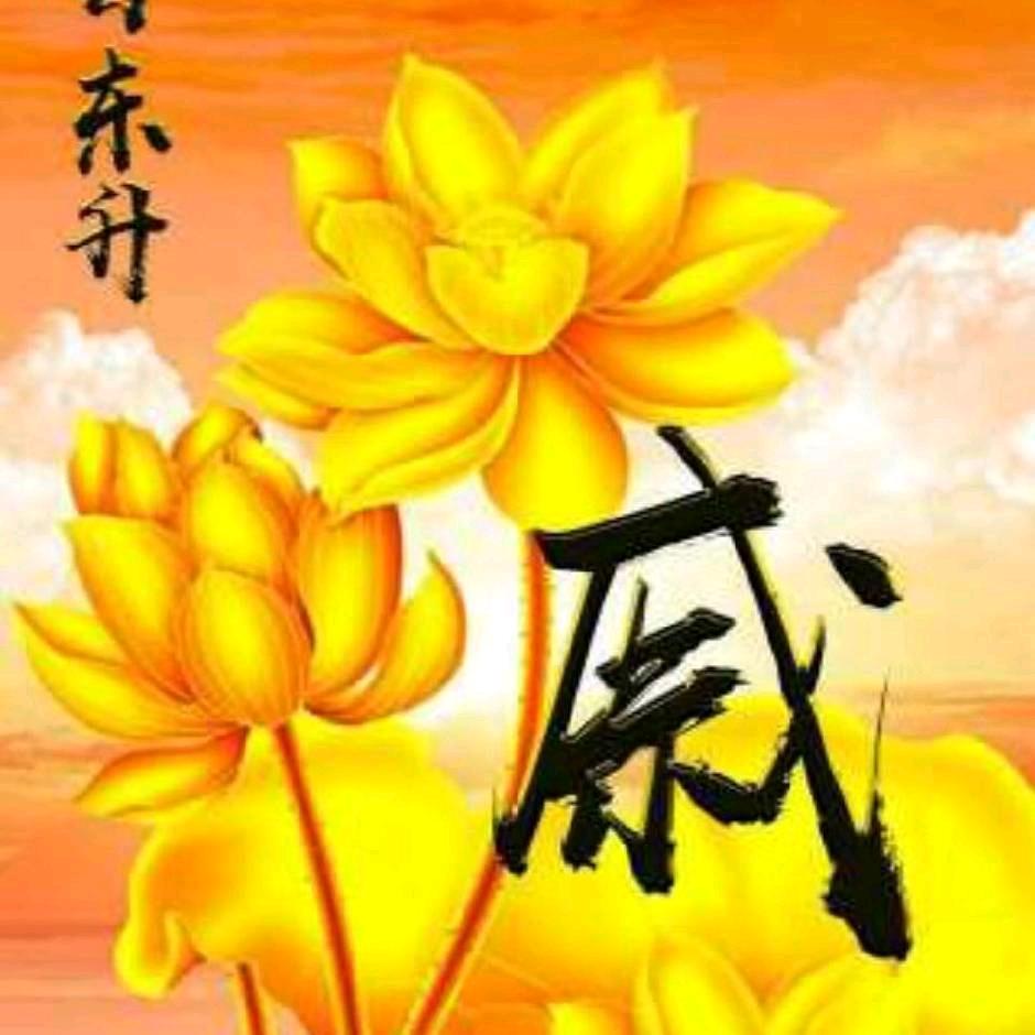 别无所求