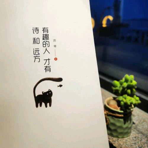 河南李哥