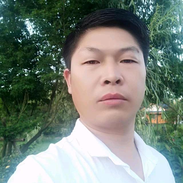 王浪歌