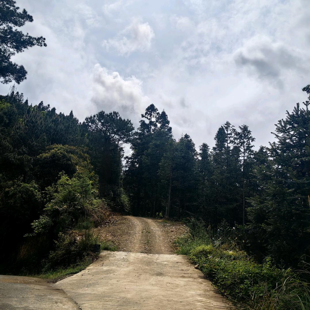 「耕读ぉ云栖」