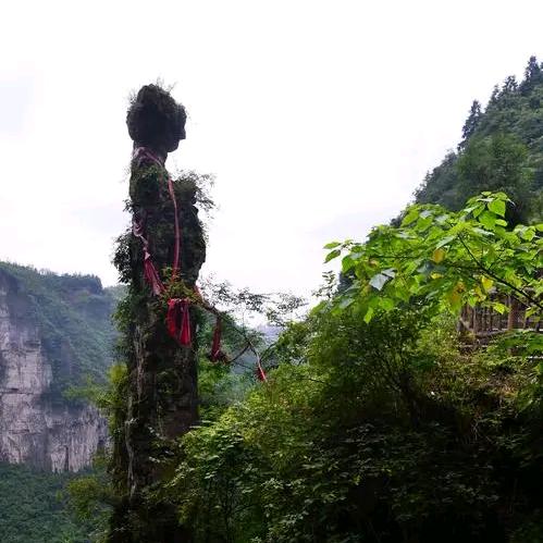 我自踏雪志山巅