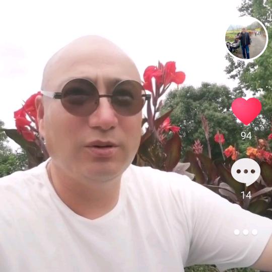 宝哥