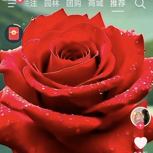 弔尒朤氹