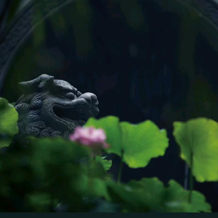 时光1983