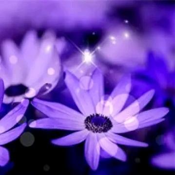 🌈星空⁹²⁷⁶