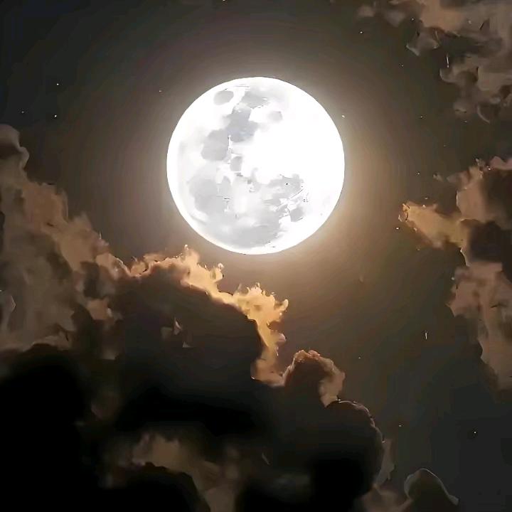 冷月